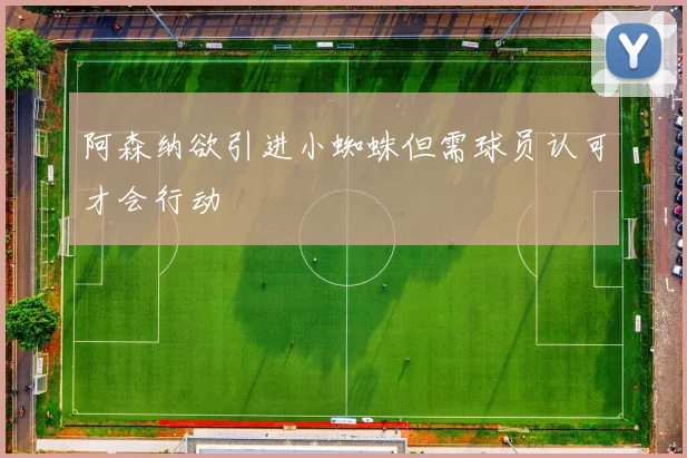 阿森纳欲引进小蜘蛛但需球员认可才会行动